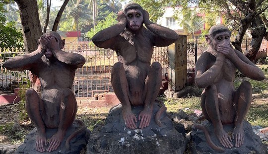 Intuitions About Intuition: Deep Listening, Mind Sensations, and the Cocktail Party Effect